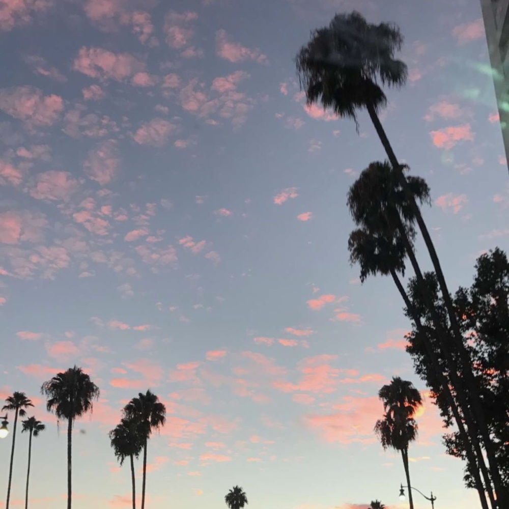 Meet your Posher, Noeliah